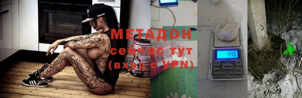 прущие грибы Белокуриха