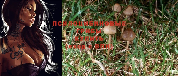 прущая мука Тавда