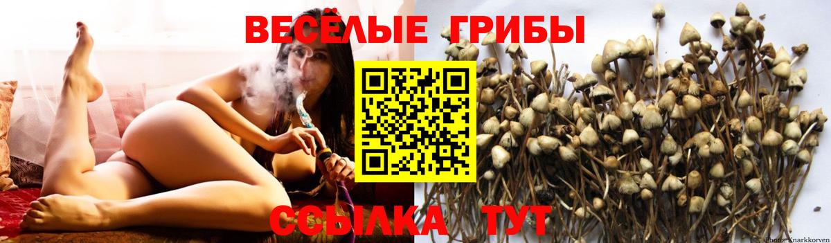 Жуковский  сколько стоит  Вход с VPN  Галлюциногенные грибы ЛСД 