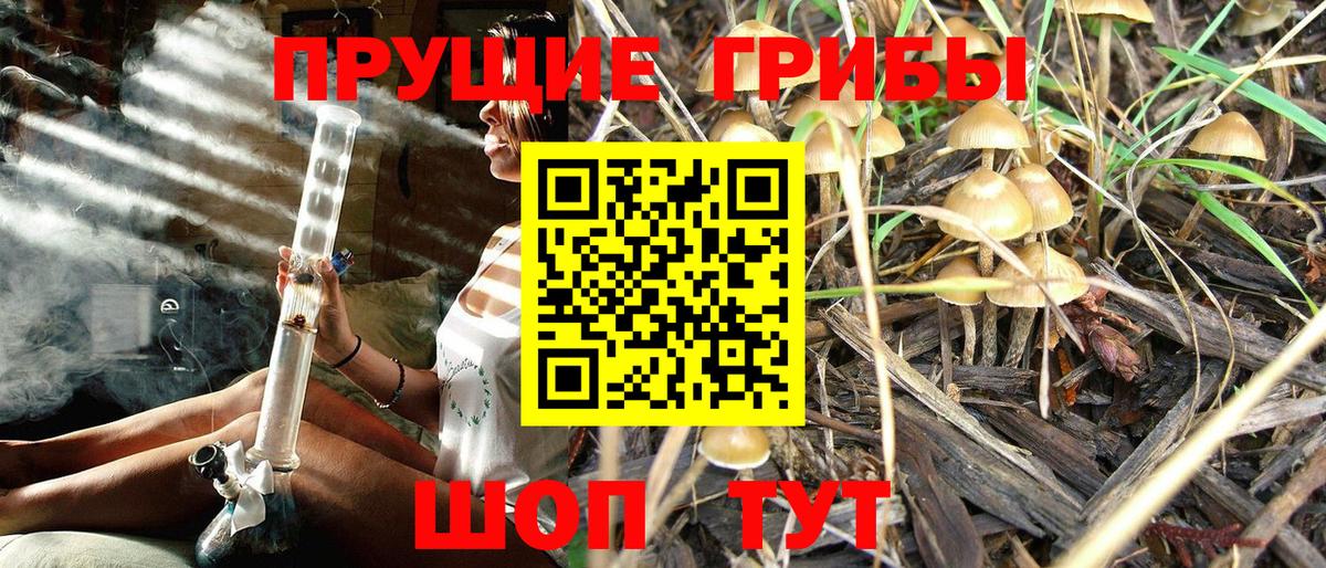 Псилоцибиновые грибы Psilocybine cubensis  Псилоцибиновые грибы MAGIC MUSHROOMS  Жуковский 